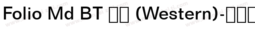 Folio Md BT 普通 (Western)字体转换